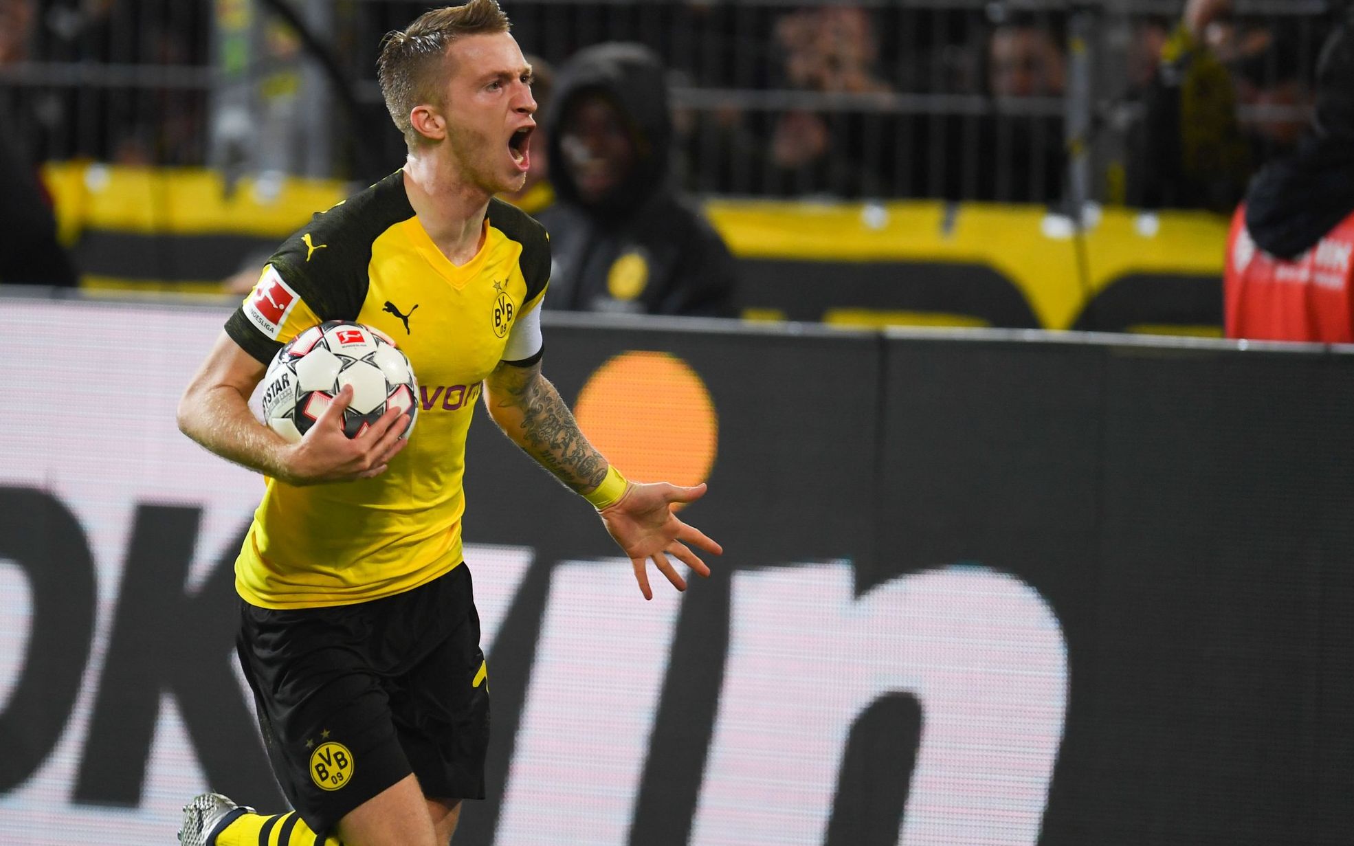 小规模的茶籽油生产线