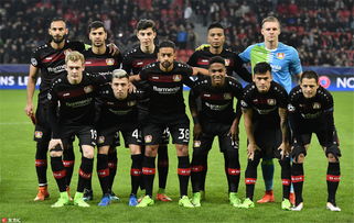 如何选择核桃油